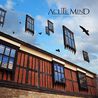 Acute Mind - Under The Empty Sky Mp3