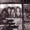 Company Of Wolves - Shakers And Tamborines Mp3