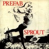 Prefab Sprout - Lions In My Own Garden (Vinyl) Mp3