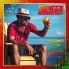 Shaggy - Christmas In The Islands Mp3