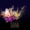 Brandee Younger - Soul Awakening Mp3