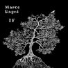 Marco Ragni - If Mp3