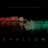 Garth Brooks & Trisha Yearwood - Shallow (CDS) Mp3