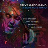 Steve Gadd Band - At Blue Note Tokyo (Live) Mp3