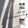 Dry Cleaning - New Long Leg Mp3