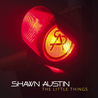 Shawn Austin - The Little Things (CDS) Mp3