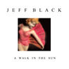 Jeff Black - A Walk In The Sun Mp3