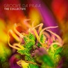 Groove Da Praia - The Collective Mp3