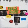 Biig Piig - Feels Right (CDS) Mp3