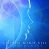Liquid Mind - Liquid Mind Xiii: Mindfulness Mp3