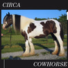Circa - The Cowhorse Mp3