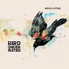 Arooj Aftab - Bird Under Water (EP) Mp3