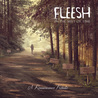 Fleesh - In The Mist Of Time (A Renaissance Tribute) Mp3