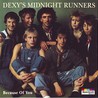 Dexys Midnight Runners - Because Of You Mp3