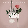 Avishai Cohen - Two Roses Mp3
