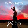 Biig Piig - The Sky Is Bleeding Mp3