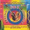VA - British Rock Symphony ‎- Performing The Music Of The Beatles, The Rolling Stones, Led Zeppelin, Pink Floyd & The Who Mp3