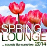VA - Spring Lounge 2014 (Sounds Like Sunshine) Mp3