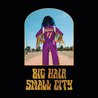Shaela Miller - Big Hair Small City Mp3
