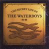 The Waterboys - The Secret Life Of The Waterboys (1981-1985) Mp3