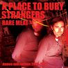 A Place to Bury Strangers - Rare Meat Mp3