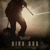 Shaman's Harvest - Bird Dog (CDS) Mp3