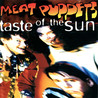 Meat Puppets - Taste Of The Sun (EP) Mp3