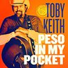 Toby Keith - Peso In My Pocket Mp3