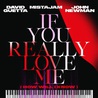 David Guetta - If You Really Love Me (How Will I Know) (With Mistajam & John Newman) (CDS) Mp3