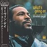 Marvin Gaye - What’s Going On: The Detroit Mix Mp3