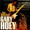 Gary Hoey - Best Of Gary Hoey Mp3