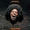 Funkadelic - Maggot Brain (Remastered 2005) Mp3