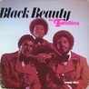 The Tamlins - Black Beauty (Vinyl) Mp3