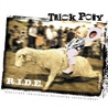 Trick Pony - R.I.D.E. Mp3