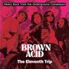 VA - Brown Acid: The Eleventh Trip (Heavy Rock From The Underground Comedown) Mp3