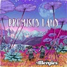 The Allergies - Promised Land Mp3