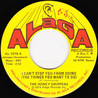 The Honeydrippers - I Can't Stop You From Doing (The Things You Want To Do) & Streakin' (VLS) Mp3
