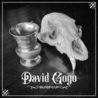 David Gogo - Silver Cup Mp3