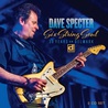 Dave Specter - Six String Soul: 30 Years On Delmark CD1 Mp3