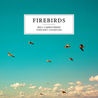 Bill Carrothers & Vincent Courtois - Firebirds Mp3
