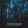 Parkland Music Project - Bleeding Daylight Mp3