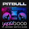 Pitbull - I Feel Good (Feat. Anthony Watts & Djws) (CDS) Mp3