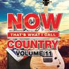 VA - Now That's What I Call Country Vol. 11 Mp3