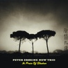 Peter Erskine New Trio - In Praise Of Shadows Mp3