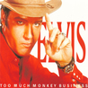 Elvis Presley - Too Much Monkey Business Mp3