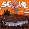 How Flowers Grow Mp3