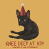 Knee Deep At Atp (CDS) Mp3