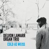 Delvon Lamarr Organ Trio - Cold As Weiss Mp3