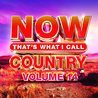 VA - Now That's What I Call Country Vol. 14 Mp3
