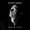 Ottmar Liebert & Luna Negra - Waiting N Swan Mp3